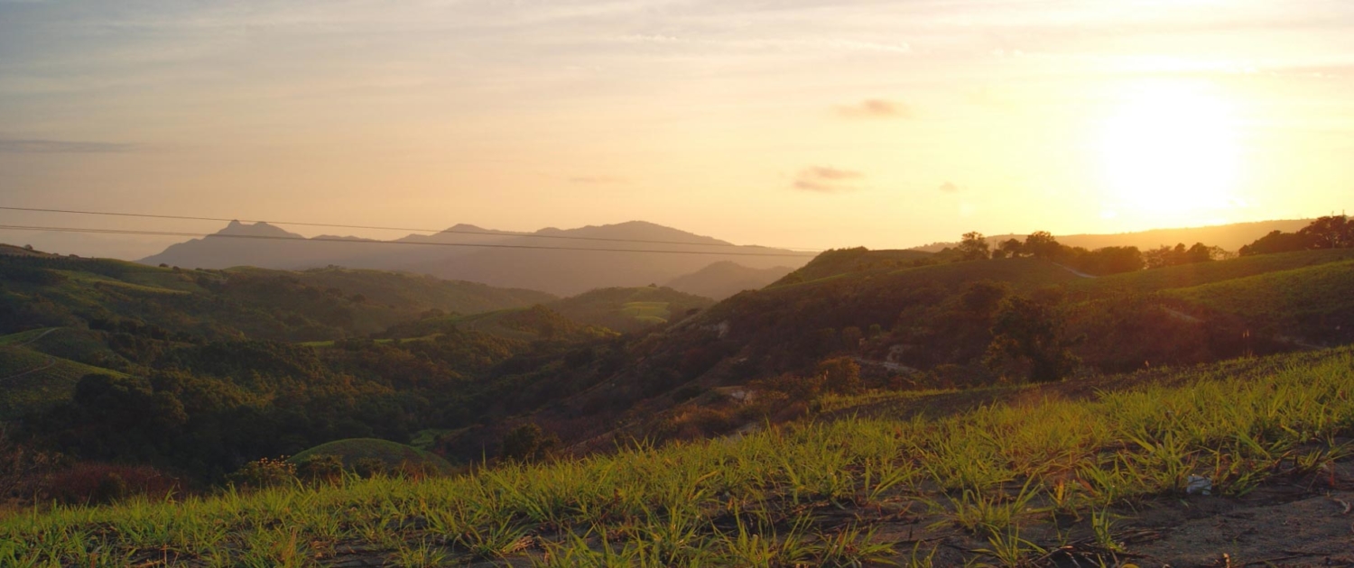 mocha-joes-roasters-home-slide-1